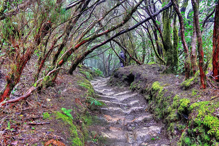Naturaleza
